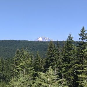 Meet your Posher, Mat